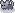 Rat