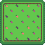 Beetroot Rug