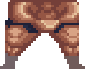 Fossil Pants
